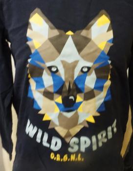 Langarmshirt Gr. 110/116 von Lupilu (2218)